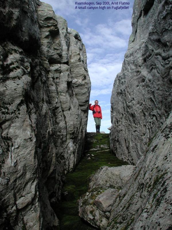 Hardanger Feriesenter Sjusete Βίλα Norheimsund Εξωτερικό φωτογραφία